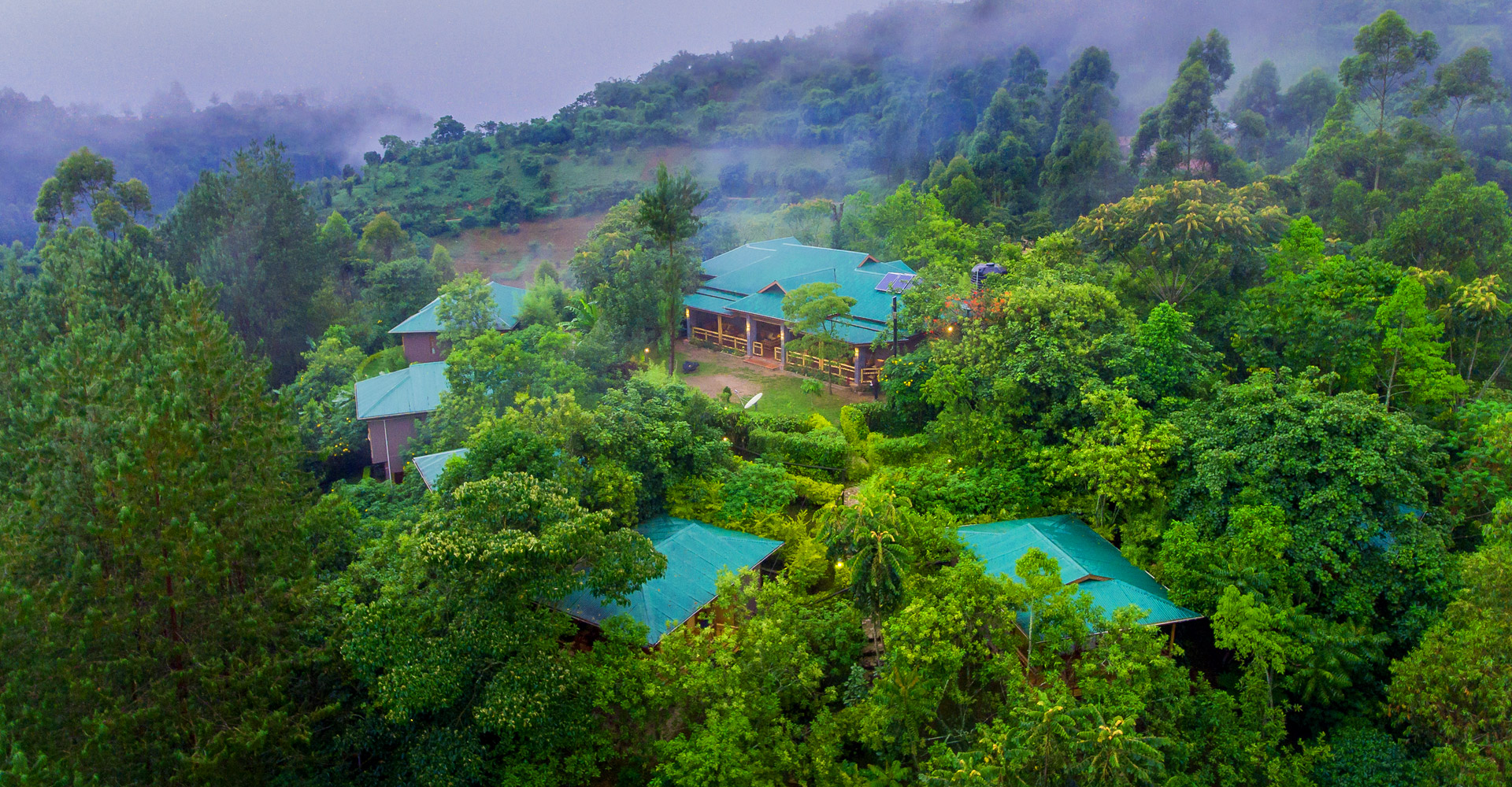 Enjoy a spectacular view of Bwindi Forest